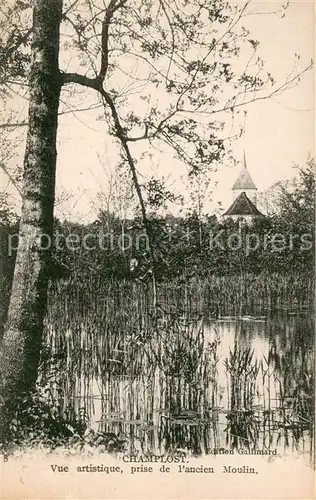 AK / Ansichtskarte Champlost Vue artistique prise de l ancien moulin Champlost