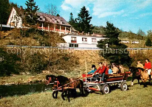 AK / Ansichtskarte Dodenau Ponyhof Waldpension Ederblick Ponywagen Dodenau
