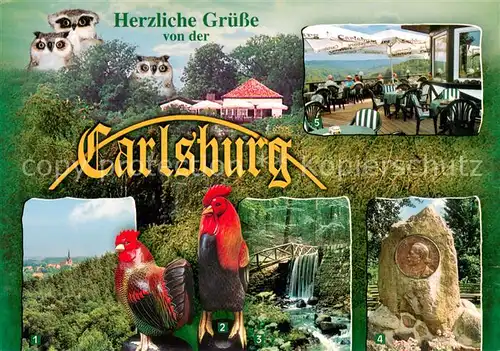 AK / Ansichtskarte Falkenberg_Mark Carlsburg Historisches Panoramarestaurant Erlebniswelt der Geschenke Wasserfall Denkmal Hahn Eulen Falkenberg Mark