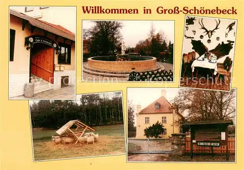 AK / Ansichtskarte Gross_Schoenebeck Gasthaus Zum Weissen Hirsch Schafe Gross Schoenebeck