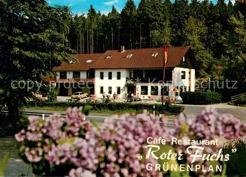 AK / Ansichtskarte Gruenenplan Cafe Restaurant Roter Fuchs  Gruenenplan