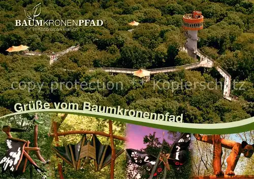 AK / Ansichtskarte Hainich Hoerselberg Baumkronenpfad im Nationalpark Hainich Fliegeraufnahme Hainich Hoerselberg