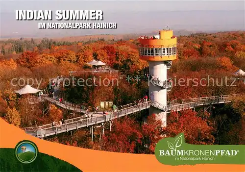 AK / Ansichtskarte Hainich Hoerselberg Indian Summer Baumkronenpfad im Nationalpark Hainich Fliegeraufnahme Hainich Hoerselberg