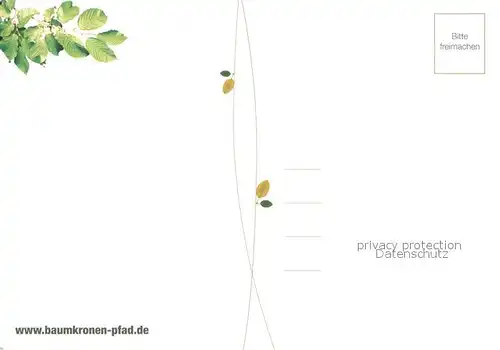 AK / Ansichtskarte Hainich Hoerselberg Indian Summer Baumkronenpfad im Nationalpark Hainich Fliegeraufnahme Hainich Hoerselberg