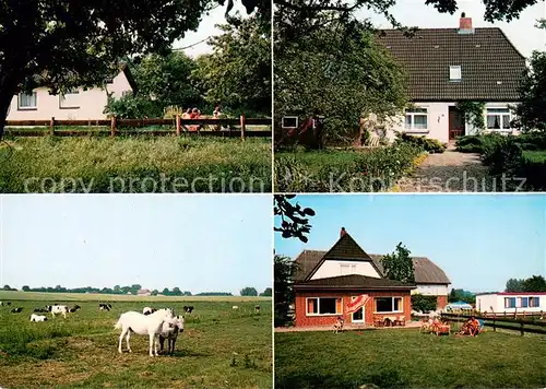 AK / Ansichtskarte Hasselburg_Altenkrempe Urlaub auf dem Bauernhof Ferienhof Meier Viehweide Pferdekoppel Hasselburg Altenkrempe