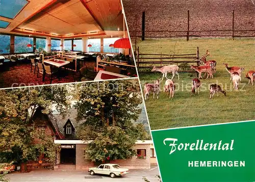 AK / Ansichtskarte Hemeringen Hotel Restaurant Forellental Wildgehege Hemeringen