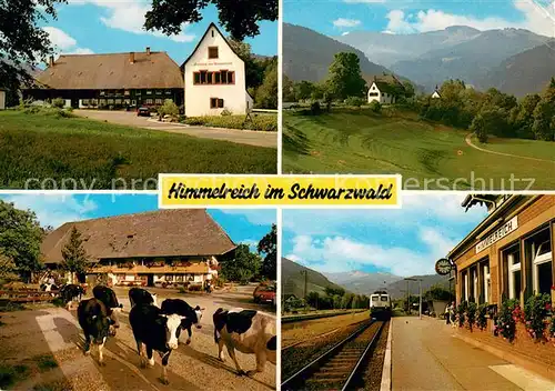 AK / Ansichtskarte Himmelreich_Hoellsteig Gasthaus Himmelreich mit Blick zum Hinterwaldkopf Schwarzwald Erlenhof Kuehe Bahnhof Himmelreich_Hoellsteig