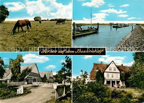 AK / Ansichtskarte Hoerne_Balje Ferien auf dem Bauernhof Pferdekoppel Kanal Hoerne Balje