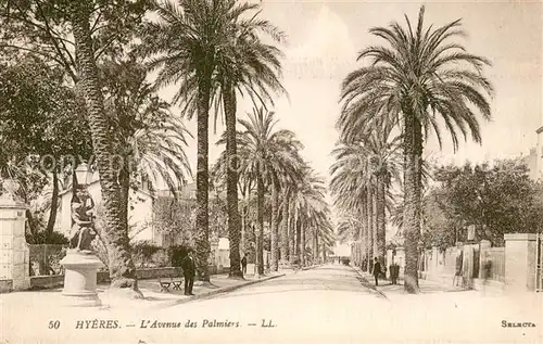 AK / Ansichtskarte Hyeres_les_Palmiers Avenue des Palmiers Hyeres_les_Palmiers