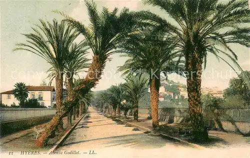 AK / Ansichtskarte Hyeres_les_Palmiers Avenue Godillot Hyeres_les_Palmiers