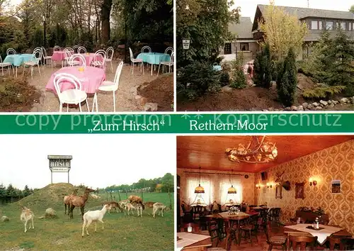 AK / Ansichtskarte Moor_Rethem_Aller Gaststaette Zum Hirsch Gastraum Terrasse Tierpark 