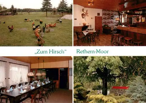 AK / Ansichtskarte Moor_Rethem_Aller Gaststaette Zum Hirsch Wiese Bar Gaststube Kaffeegarten 