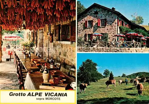 AK / Ansichtskarte Morcote_TI Grotto Alpe Vicania Terrasse Viehweide Morcote_TI