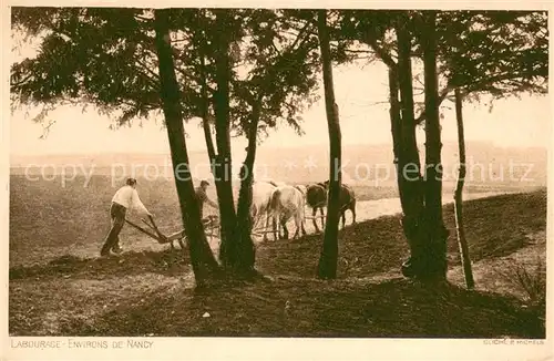 AK / Ansichtskarte Nancy_Lothringen Labourage Nancy Lothringen