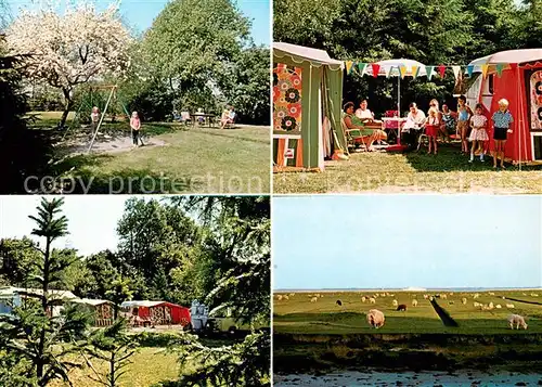 AK / Ansichtskarte Neufeld_Dithmarschen Campingplatz Zur Elbmuendung Gasthaus Zur Boerse Schafherde Neufeld Dithmarschen