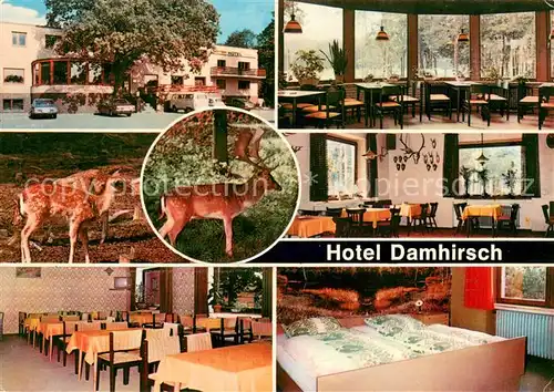 AK / Ansichtskarte Neustadt_Ruebenberge Hotel Restaurant Damhirsch Wildgehege Neustadt_Ruebenberge