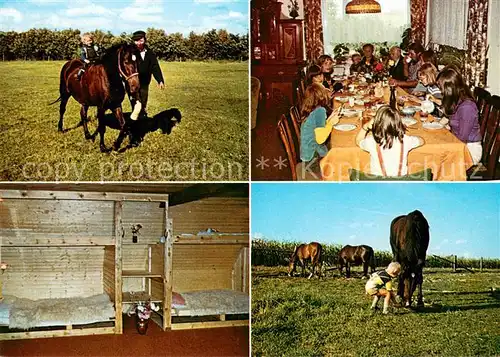 AK / Ansichtskarte Nienkattbek Ferien auf dem Bauernof Naturpark Aukrug Reiten Pferdekoppel 