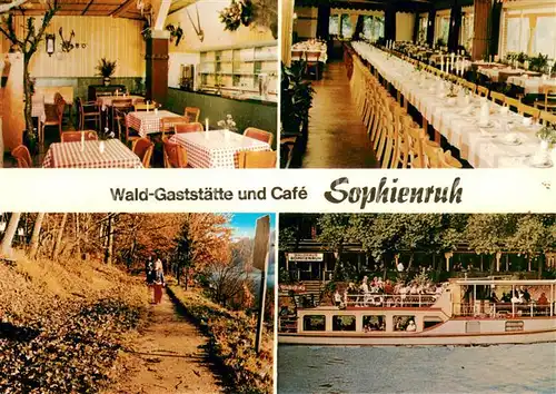 AK / Ansichtskarte Peine Wald Gaststaette und Cafe Sophienruh Gastraeume Fahrgastschiff Waldweg Peine