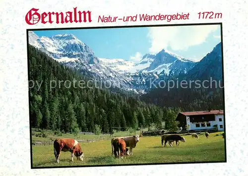 AK / Ansichtskarte Pertisau_Achensee Alpengasthof Gernalm  Pertisau Achensee