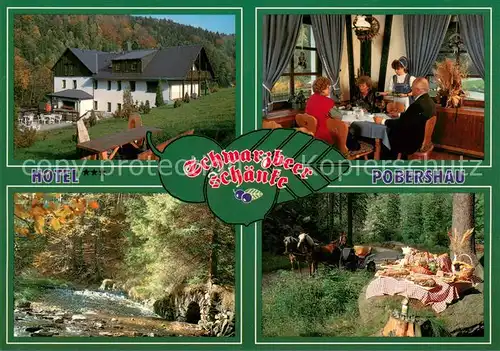 AK / Ansichtskarte Pobershau Hotel Schwarzbeerschaenke Gaststube Waldpartie Pferdekutsche Picknick Pobershau