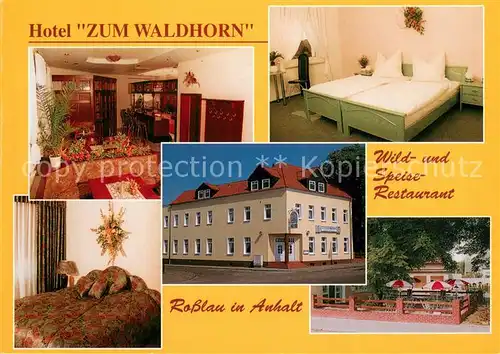 Rosslau_Elbe Hotel Zum Waldhorn Gastraeume Zimmer Terrasse Rosslau_Elbe