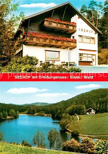 Rothau_Dreiburgensee Pension Restaurant Seehof am Dreiburgensee 