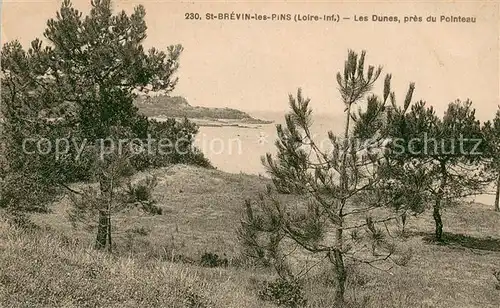 Saint Brevin les Pins Les dunes pres du Pointeau Saint Brevin les Pins