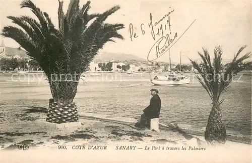 Sanary sur Mer Le port a travers les palmiers Sanary sur Mer