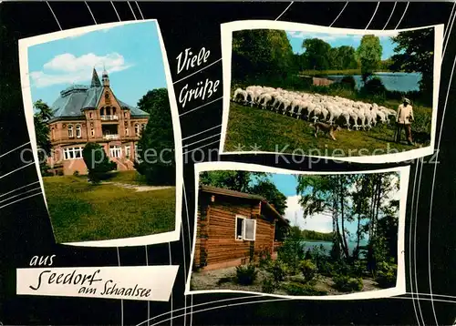 Seedorf_Lauenburg Willi Pingel Heim am Schalsee Schafherde Seedorf_Lauenburg