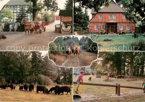 Sprakensehl Pension Unter den Eichen Pferdewagen Reiter Viehweide Kinderspielplatz Sprakensehl