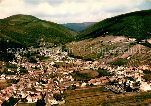 St_Martin_Rheinpfalz Fliegeraufnahme St_Martin_Rheinpfalz