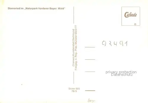 Stamsried im Naturpark Vorderer Bayer Wald Fliegeraufnahme Stamsried