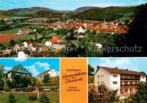 Staudernheim Stadtpanorama Nahetal Gaestehaeuser Rosenschloesschen und Tanneneck Staudernheim