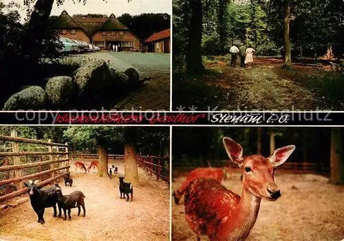 Stenum Backenkoehlers Gasthof Wildgehege Stenum