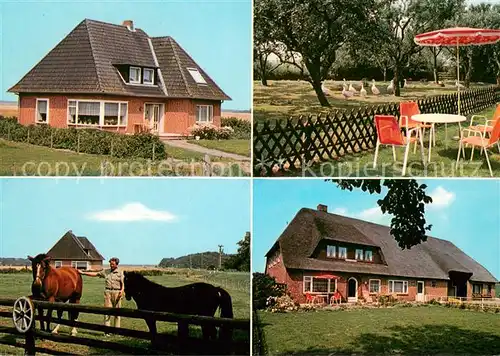 Tuemlauer_Koog Urlaub auf dem Bauernhof Garten Pferdekoppel 