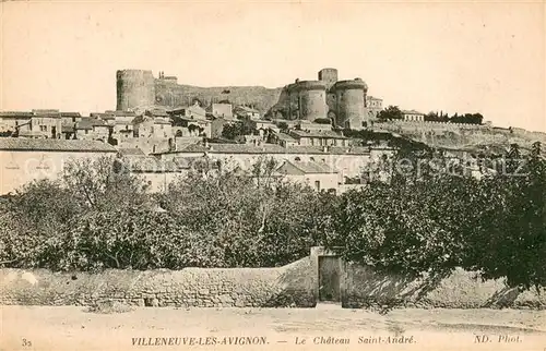 Villeneuve les Avignon Le Chateau Saint Andre Villeneuve les Avignon