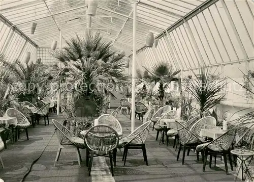 Zielona_Gora Wnetrze palmiarniw Parku Winnym Kawiarnia Klub  Zielona Gora