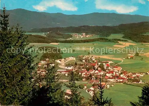 AK / Ansichtskarte Blaibach Panorama Blaibach