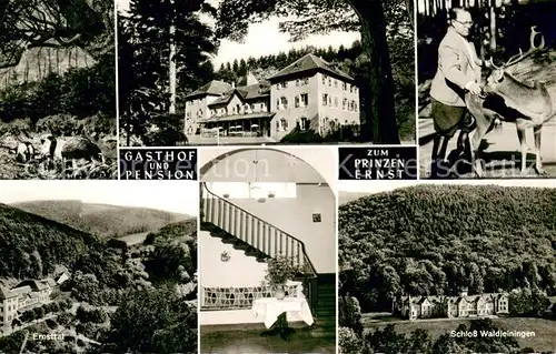 AK / Ansichtskarte Ernsttal_Baden Gasthof Pension zum Prinzen Ernst Schloss Waldleiningen Panorama Ernstttal Hirsch Wildschweine Ernsttal_Baden
