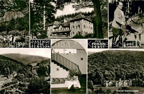 AK / Ansichtskarte Ernsttal_Baden Gasthof Pension zum Prinzen Ernst Schloss Waldleiningen Ernsttal Hirsch Wildschweine Ernsttal_Baden
