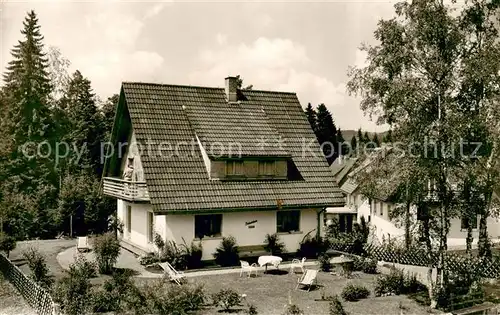 AK / Ansichtskarte Hinterzarten Haus Zaehringer Birkenhaeusle im Schwarzwald Hinterzarten