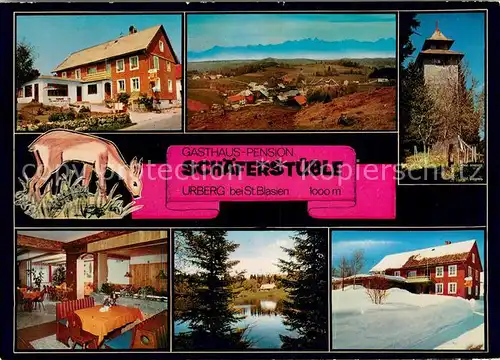 AK / Ansichtskarte Urberg Gasthaus Pension Schaeferstueble Landschaftspanorama See Schwarzwald Alpenblick Urberg