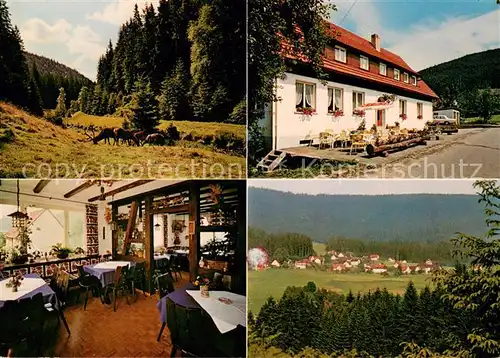 AK / Ansichtskarte Schoenegruend Pension Vergiss mein nicht Landschaftspanorama Schwarzwald Wild Schoenegruend