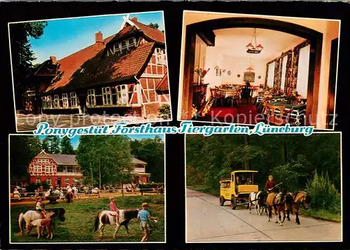 AK / Ansichtskarte Lueneburg Forsthaus Tiergarten Kinderpension Ponyreiten Ponywagen Lueneburg
