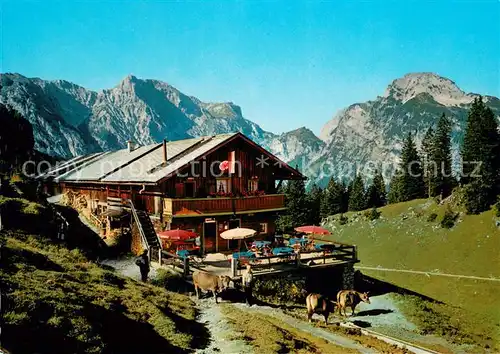 AK / Ansichtskarte Pertisau_Achensee Baerenbadalpe gegen Ochsenkar Hahnenkamm Tristenkopf Karwendelgebirge Pertisau Achensee