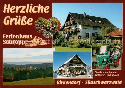 AK / Ansichtskarte Birkendorf Ferienhaus Schropp Panorama Treckerfahren Birkendorf