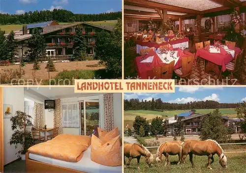 AK / Ansichtskarte Dittishausen Landhotel Tanneneck Gaststube Zimmer Pferdekoppel Dittishausen