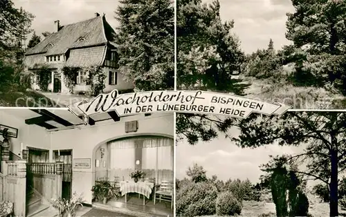 AK / Ansichtskarte Bispingen Wacholderhof Lueneburger Heide Gaststube Bispingen