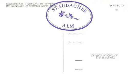 AK / Ansichtskarte Staudach_Grassau Huetten Rastplatz Staudacher Almen Schnappenkirche Hochgern Staudach Grassau