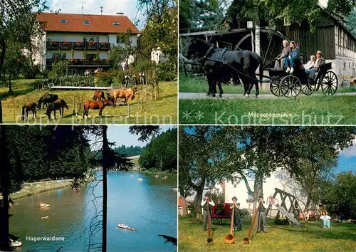 AK / Ansichtskarte Burgholz_Alfdorf Meuschenmuehle Hagerwaldsee Alphornblaeser Pferdekoppel Burgholz Alfdorf